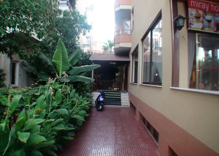 Miray Kleopatra Алания