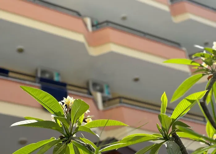 Miray Kleopatra Hotel